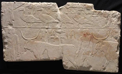 Relieve de hombres trayendo aves y ganado