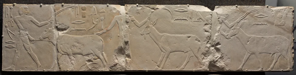 Relieve de hombres trayendo animales del desierto, c. 2311-2281 a.C.