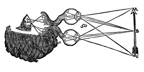 Idea de visión de René Descartes, mostrando la función del ojo, nervio óptico y cerebro, 1692