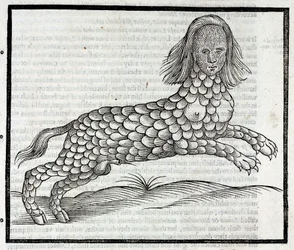 Representación de la criatura Lamia (Sybaris) Grabado extraído de History of Four-Footed Beastes de Edward Topsell 1607 La Lamia