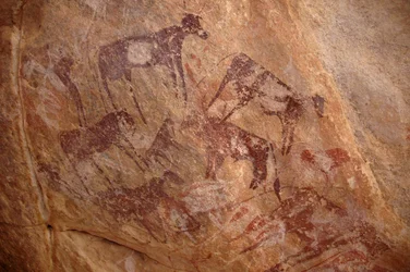 Arte rupestre, Prehistoria: Pintura de un grupo de ganado y personajes en un refugio ornamentado, en el macizo de Uweinat, Sudán (Karkur-Talh o Karkur Talh). Período de 8000 a 3000 años a.C. Fotografía