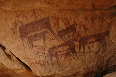 Arte rupestre, Prehistoria: Pintura rupestre de un grupo de ganado incluyendo una rodilla y un grupo de personajes incluyendo arqueros en un refugio ornamentado, en el macizo de Uweinat, Sudán (Karkur-Talh o Karkur Talh). Período de 8000 a 3000 años a.C. F