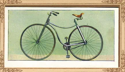 Bicicleta de seguridad Rover