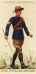 Artillería Real Australiana, 1936