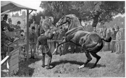 Venta de cazadores levantando una objeción, 1885