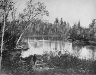 Escena en el río Peshtigo, Wisconsin, c1897