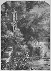 Escena en un arroyo que desemboca en el Little Juniata, 1883