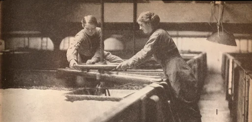 Apretando la levadura en una cervecería de Burton-On-Trent, c. 1916, 1935
