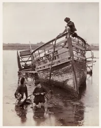 Erizos de mar