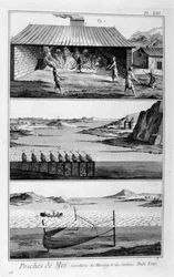 Pesca en el mar, arenques y sardinas, 1751-1777