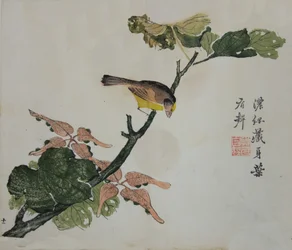 Semillas y Aleurites Cordata: Página del Manual del Jardín de Semillas de Mostaza..., 1782, 2ª edición