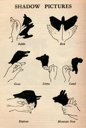 Imágenes de sombras, 1937