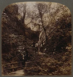 Shanklin Chine de fama mundial, Isla de Wight, Inglaterra, c1910