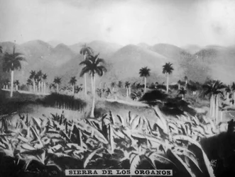 Sierra de los Órganos, 1896, 1920s