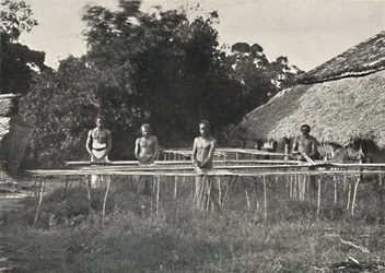 Trabajadores de canela cingaleses en el trabajo, 1926