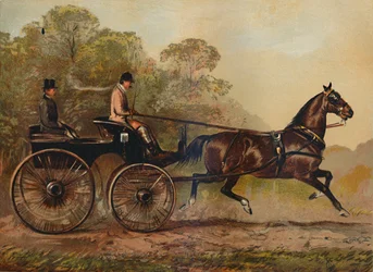 Caballo Phaeton de Arnés Simple Columbine. Propiedad de Charles Baynes Esq., 1872