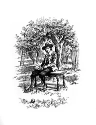 Sir Isaac Newton bajo el manzano, siglo XX