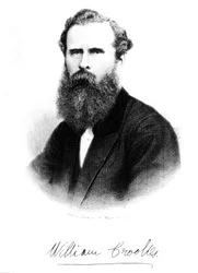 Sir William Crookes, químico y físico inglés, c 1875