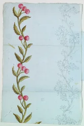 Boceto y diseño para bordes tejidos o bordados