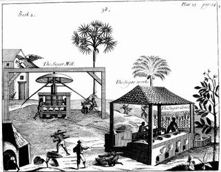 Trabajo esclavo en una plantación de azúcar en las Indias Occidentales, 1725