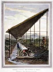 Esclavos lavando diamantes vigilados por supervisores con látigos, Brasil, 1815