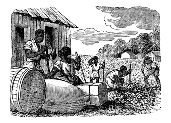 Esclavos trabajando en una plantación de tabaco