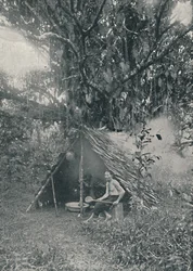 Caucho Humeante, 1916