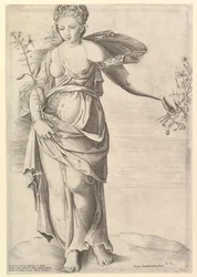 Speculum Romanae Magnificentiae: Flora, mediados del siglo XVI