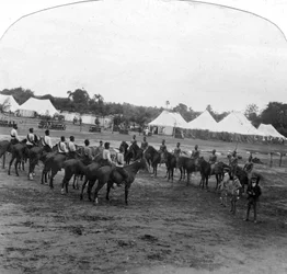 Día de deportes en Narsampet, India, 1905