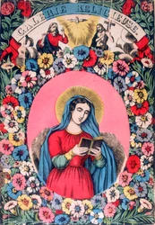 Santa Brígida, siglo XIX