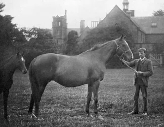 Santa Margarita, caballo de carreras británico, 1895-1938