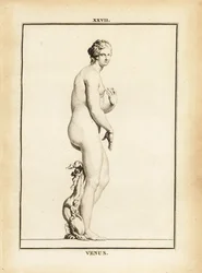 Estatua de Venus, diosa romana del amor, la belleza, el sexo y la fertilidad