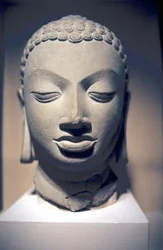 Cabeza de piedra de Buda, Gupta, India, siglo V