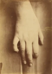 Estudio de una mano