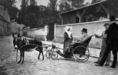 Sully Prudhomme, poeta francés, 1905