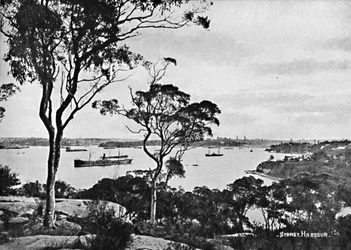 Puerto de Sídney, desde Cremorne Point, c1900