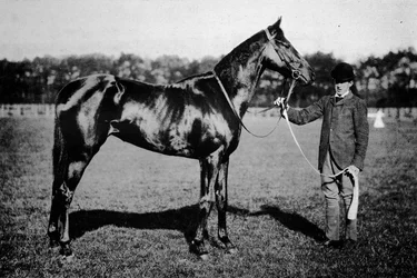 Thais, 1911