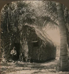 Cabaña de paja en Cocoanut Grove, Florida, EE.UU., c1900