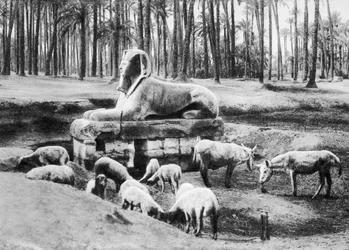 La Esfinge de Alabastro, El Cairo, Egipto, c1920s