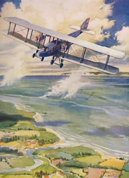 La belleza del vuelo