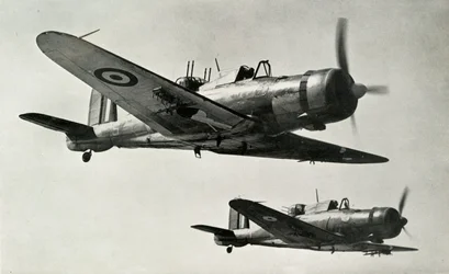 El Blackburn Roc
