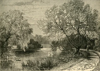 Los Jardines Botánicos, Regents Park, c1876