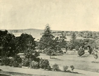 Los Jardines Botánicos de Sídney, 1901