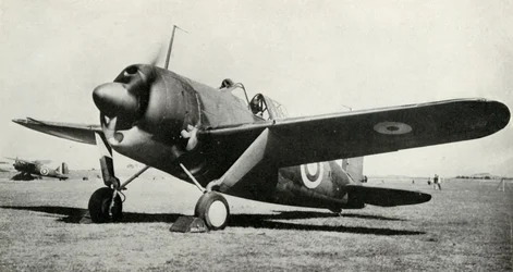 El Brewster Buffalo, 1941