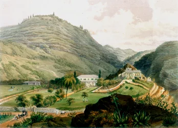 The Briars, St Helena, principios del siglo XIX, 1851