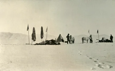 El campamento después de pasar la latitud más al sur anterior, noviembre de 1908, 1909