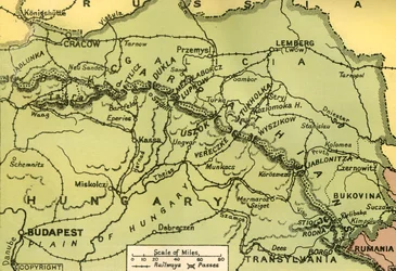 Los Pasos Cárpatos, 1919