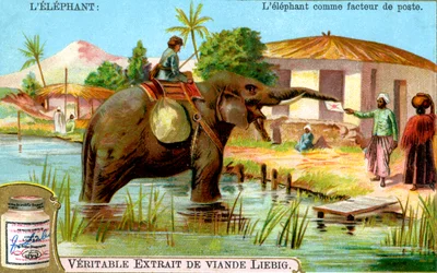 El elefante como cartero, c1900