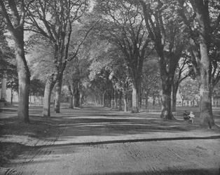 The Elms, New Haven, Connecticut, EE.UU., c1900