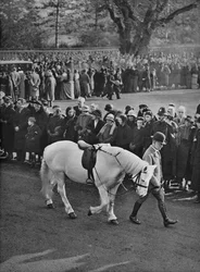 La Silla Vacía: El pony blanco del Rey Jorge, Jock, siendo llevado en procesión, 1936
